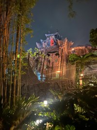 IMG_1601.jpg