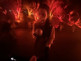 IMG_9205.jpeg