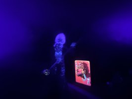 IMG_9181.jpeg