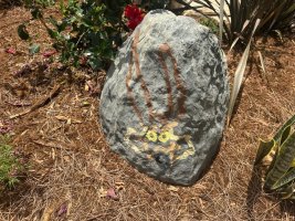 IMG_5633.jpeg