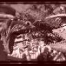 duelingdragons12