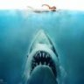 BruceTheShark